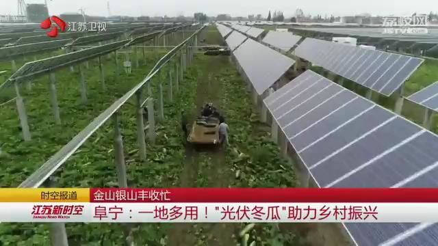 金山银山丰收忙