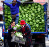 2018年10月23日，辽宁沈阳，大街小巷满载着白菜等各式秋菜的车辆停在路边，市民开启采购冬菜模式。