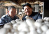 2018年1月7日，河南商丘，张艳军（右）在贫困户大棚里向菇农讲解双孢菇采摘技术要领。