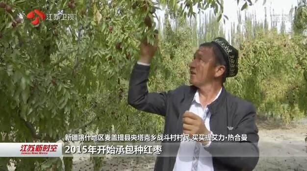 荔直播·我为你而来 新疆麦盖提：幸福“枣”知道 红枣让农民生活