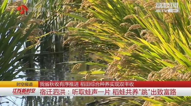 江苏秋收有序推进 稻田综合种养实现双丰收
