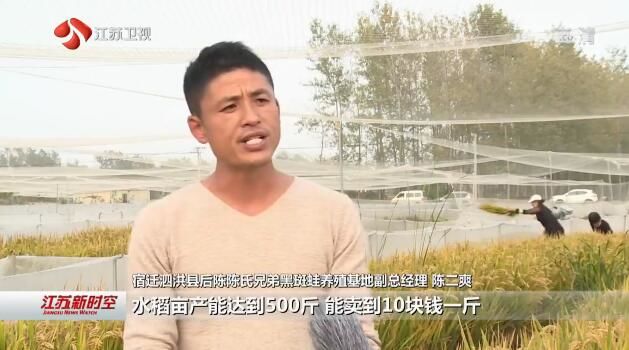 江苏秋收有序推进 稻田综合种养实现双丰收