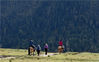 2019年10月02日，西藏林芝鲁朗镇，国庆黄金周期间，游客骑马行走在高山草原上。