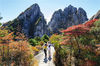 2019年10月3日，金秋十月，安徽黄山风景区处处流淌着温馨浪漫的颜色，如画般浓墨重彩。