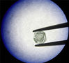 当地时间2019年10月4日，俄罗斯萨哈共和国，“钻中之钻”的X光照片。这颗无价之宝重仅0.62克拉，是人类有史以来发现的首颗此类钻石，据信已有8亿多年的历史。这颗钻石被命名为“套娃”(Matryoshka)。
