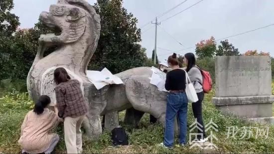 痛心！江苏国宝石刻遭大学师生盗拓 田野文物该如何保护？（视频