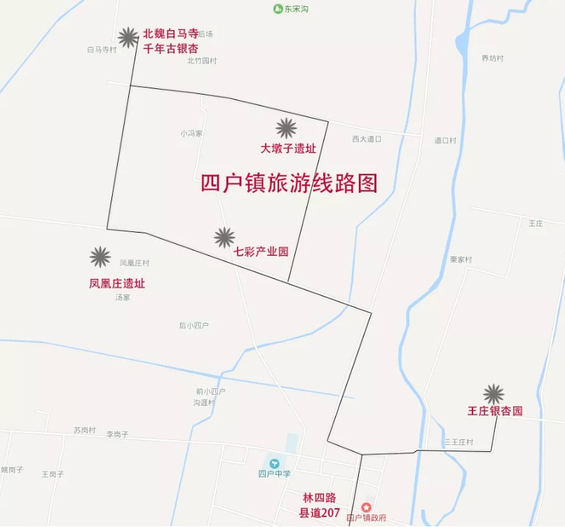 邳州又一银杏观赏地，到了最美的时刻！