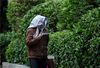 2014年12月16日，广州连新路，一个市民用衣服裹头抵御寒风。冯宙锋/视觉中国