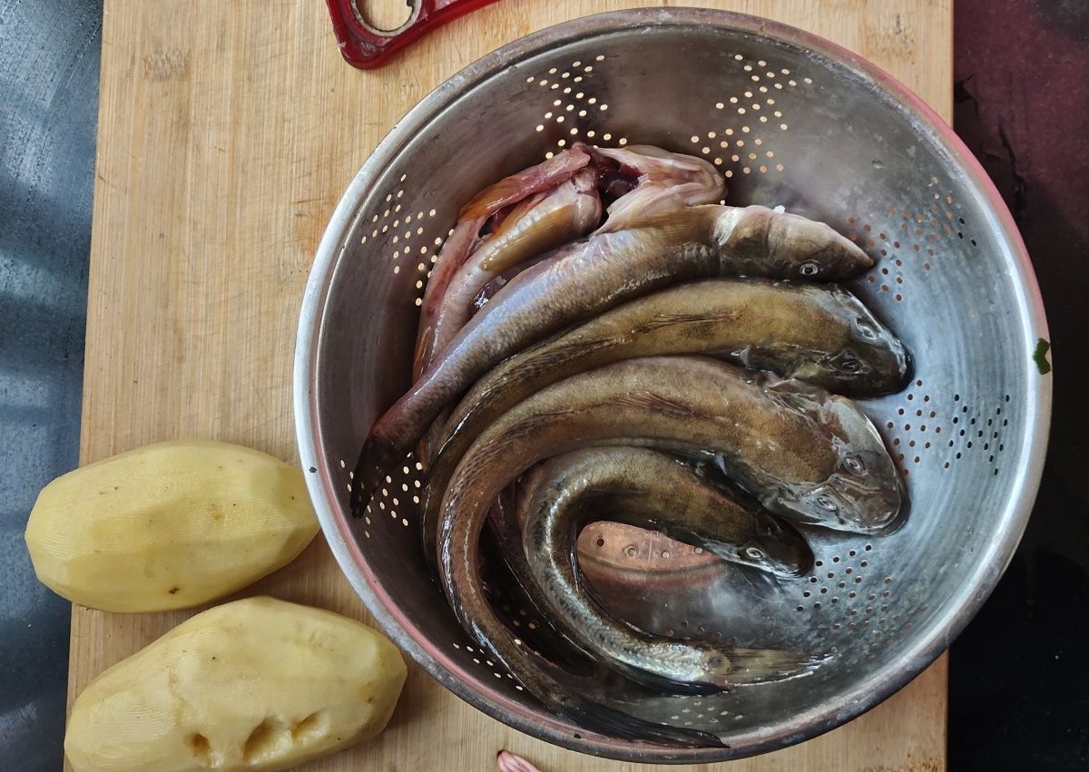 舌尖上的孝心：爸，妈，我想为您做顿饭