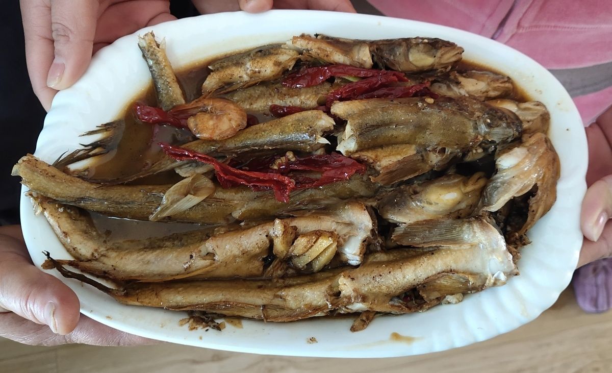 舌尖上的孝心：爸，妈，我想为您做顿饭