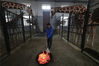 2018年12月28日，浙江宁波，工作人员为长颈鹿生起火盆。张培坚/视觉中国