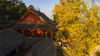 2019年11月14日，位于成都金堂云顶山的慈云古寺，有两株千年银杏树，每到秋季树叶变黄，在阳光的照耀下更显金黄色的美丽。
