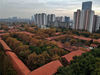 2019年11月21日，武汉，青山红钢城的红房子与初冬的红叶搭配，再度呈现出“红双喜”的楼栋格局。