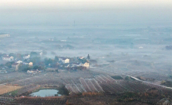 晨雾如薄纱  绘就乡村水墨画