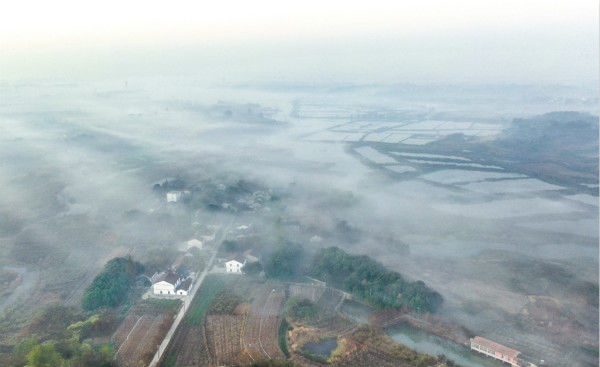 晨雾如薄纱  绘就乡村水墨画