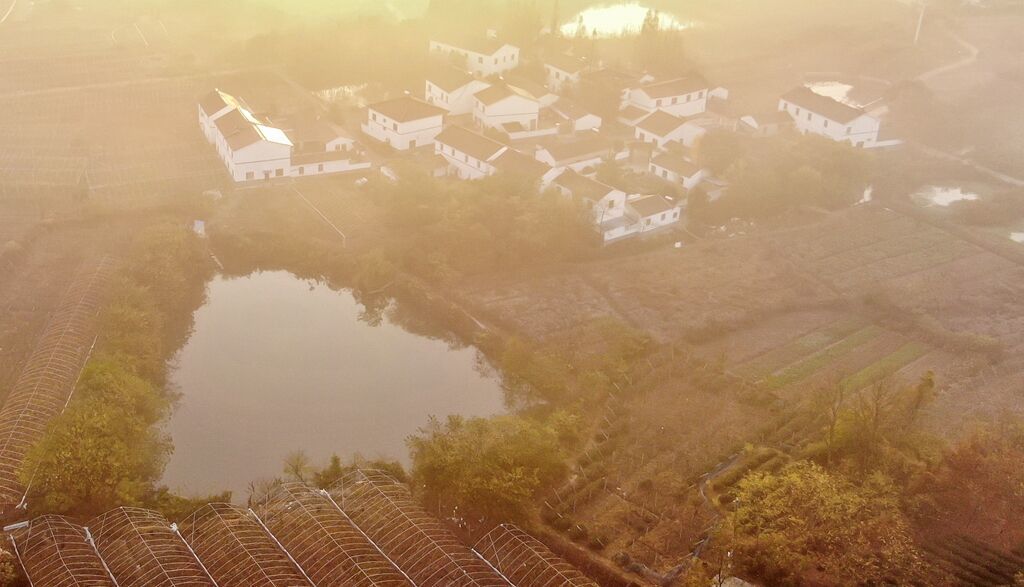 江苏句容：万亩葡萄园换上“秋冬装”  空中俯瞰色彩斑斓