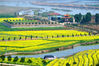 2017年2月26日，湖南常德市临澧县看花村的油菜花、养殖池、湿地、河滩构成一幅美丽乡村的田园风光。陈自德/视觉中国