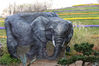 An elephant image with 3D effects is created on a stone placed at Zhou Ji Green Expo Park in Nantong, East China's Jiangsu province, on Nov 26, 2019. [Photo by Xu Congjun/Asianewsphoto]