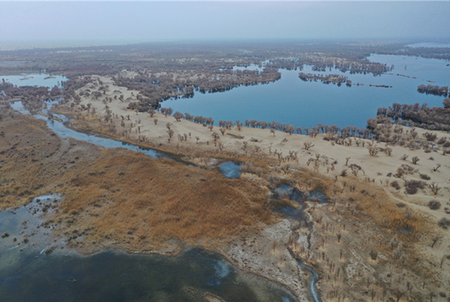 新疆巴州：尉犁罗布淖尔国家湿地公园色彩斑斓