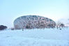 2017年2月21日至22日凌晨，北京下了一场雪，使北京城银装素裹，22早晨我到奥林匹克公园拍照了雪后的鸟巢。马志江/视觉中国