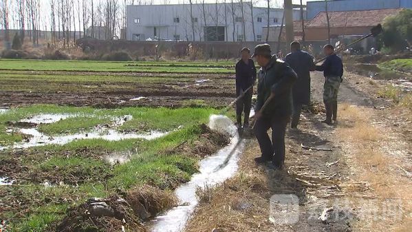 持续干旱 江苏半年累计抽“7个洪泽湖”江水保生产