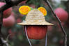 2019年11月2日，北京，昌平苹果熟了，挂满枝头。果园主人给苹果精心打扮，拟人的造型惟妙惟俏，同时，有一部分苹果还贴上了庆祝祖国70年生日的字样。别出心裁的构思，让整个果园充满趣味生机。