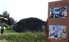 2019年11月3日，广西钦州三娘湾是著名电影《海霞》的拍摄地。 三娘湾位于广西钦州市犀牛脚镇东面约5公里处海湾边，距离钦州市区约38公里。任海霞(摄影部)/中新社/视觉中国