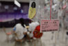 2019年8月3日，安徽省阜阳市“星空失恋博物馆”。每件展品都被摆放有序，配有关于失恋的文字故事，颇能引起观者的感情共鸣。安新/视觉中国
