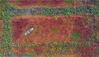 2019年11月7日，江苏省宿迁市泗洪县洪泽湖湿地如上帝打翻的调色盘，色彩斑斓、绚丽多姿。一只渔船在河道间穿行，一行白鹭在湿地上空盘旋，为秋日的湿地增添了生机和活力。无人机高空俯拍，整个洪泽湖湿地犹如一幅绚烂的生态油画。