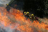 当地时间2017年6月16日，美国圣拉斐尔，消防队消防员在一场消防演习中进行训练。加州目前进入了一年当中野外火灾高发的的季节。Justin Sullivan/Getty Images/视觉中国