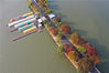 2019年11月8日，江苏南京，金秋时节，南京玄武湖景区秋色尽显，湖堤上的植被色彩斑斓，美若画卷。