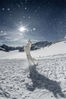 2017年12月15日讯（具体拍摄时间不详），瑞士少女峰冰川，一只白色的狗在雪地上撒欢。Sylvia Michel/Solent News/视觉中国