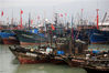 2019年12月1日，江苏连云港，连云区连岛渔港码头停满了避风渔船。