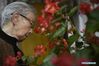 Photo taken on Nov. 7, 2019 shows Jing Zhizhen, a survivor of the Nanjing Massacre, taking care of flowers at home. This year marks the 82nd anniversary of the Nanjing Massacre, in which more than 300,000 Chinese were killed by the Japanese invaders who occupied Nanjing on Dec. 13, 1937, marking the start of six weeks of destruction, pillage, rape and slaughter in the city. By Dec. 12, 2019, the number of registered survivors of the massacre has decreased to 78. Reporters from Xinhua spent many years to look for the survivors of Nanjing Massacre and record their current lives. (Xinhua/Han Yuqing)