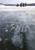 2019年11月30日，黑龙江大兴安岭，漠河市，在观音山景区的莲花湖中，串串气泡冻结冰中。
