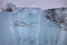 2019年12月1日，黑龙江大兴安岭，漠河市，冰雕建设用冰，码放在大林河边，不同于松花江江冰，这里的冰呈现明显的蓝色，蓝如海冰。冰块，高为80厘米，宽为40厘米。尤为独特的是，采出来的冰块中，一些里面凝固着各种藻类植物和田螺等生物。
