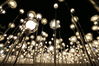 2019年12月20日，上海。日前，上海徐家汇港汇广场室外广场空间上有多达20000盏蒲公英灯组成一片梦幻灯海！远看仿佛漫天花絮飘舞，美轮美奂，点亮了城市夜空。即便是寒冷的夜晚，也吸引不少市民前往打卡。编辑/许婷
