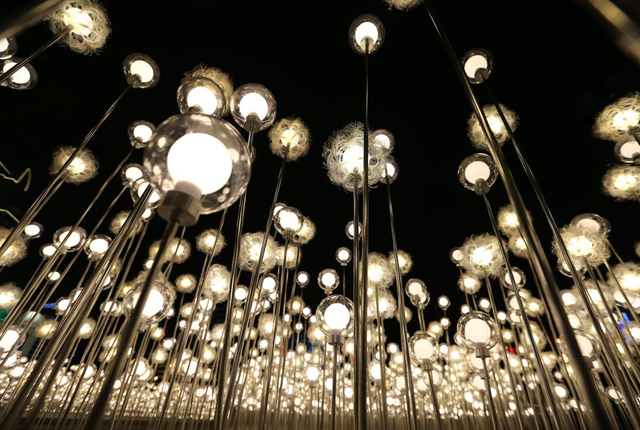 两万盏蒲公英灯“花海”点亮上海闹市街头 美轮美奂