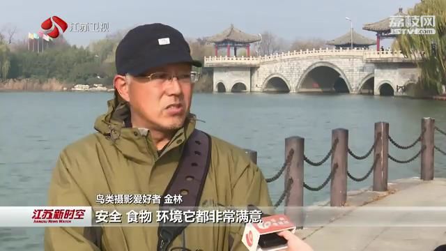 加大环境保护力度 生态环境持续向好 江苏各地纷纷迎来栖息候鸟