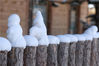 2019年11月28日，黑龙江省牡丹江市，在雪乡一家宾馆院外的木栅栏上，雪积其上，一个个圆鼓鼓如馒头，几十个整齐排列。