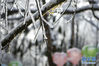 　这是12月28日在四川省峨眉山风景名胜区拍摄的景色。 时值冬日，峨眉山银装素裹、宛如仙境。 新华社记者 李梦馨 摄