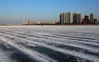 2019年12月4日，黑龙江省哈尔滨市，为冰雪大世界建造而进行的采冰，正在松花江上进行。工人推动特制电锯在江面割出冰线，为接下来的出冰做着准备。