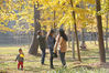 2019年12月4日，湖北武汉，被誉为“森林式大学”的华中科技大学校园里，梧桐、银杏、红枫、水杉等树叶宛如天然“调色盘”，在笔直的校道间勾勒出五彩斑斓的冬日美景，吸引市民观赏。
