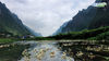 广西都安澄江国家湿地公园是国内面积最大的融城市特色、农耕特色和河流特色于一体的岩溶湿地公园。凭借优良的水质等天然优势，每年都开出成片的海菜花。
