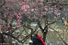 2019年2月11日，立春之后，江苏省南京市雨花台公园里的梅花开始竞相绽放，呈现出一派春意盎然景象，释放出春的信息，吸引不少游客前来赏花拍照。