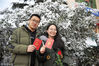 2019年2月14日，山东省青岛市黄岛区婚姻登记处，一对新人在雪地中展示结婚登记证书。