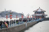 2019年2月14日，山东省青岛栈桥景区雪景如画，红嘴鸥翔舞。
