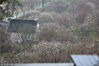 2019年2月15日，江苏苏州，第23届太湖梅花节正在举行，香雪海梅花渐入佳境，邓蔚探梅，雪海寻香，春意浓。园内还有第十届梅花盆景展，很精致的梅花盆景。