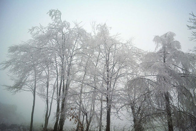 安徽安庆：鹞落坪国家级自然保护区现雾凇景观