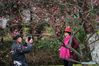 People take photos on Meihua Mountain in Nanjing, capital of east China's Jiangsu Province, Feb. 16, 2019. Plum flowers blossom as the weather becomes warm. (Xinhua/Li Bo)